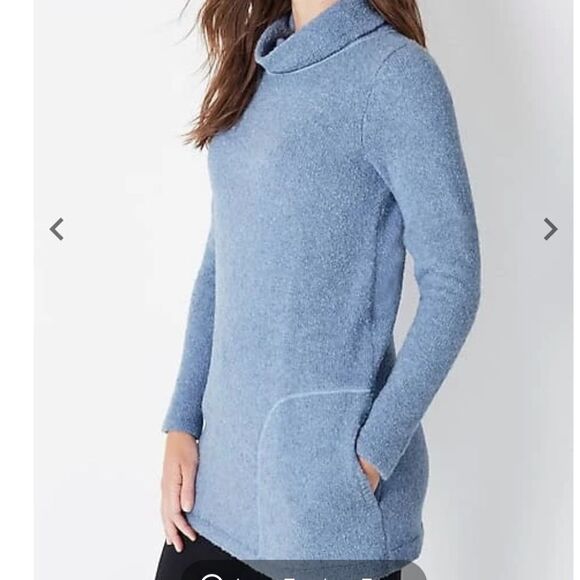 J. Jill Cozy Cowl-Neck Sweater Tunic Moonstnthr Nwt in packaging XL - Picture 2 of 7
